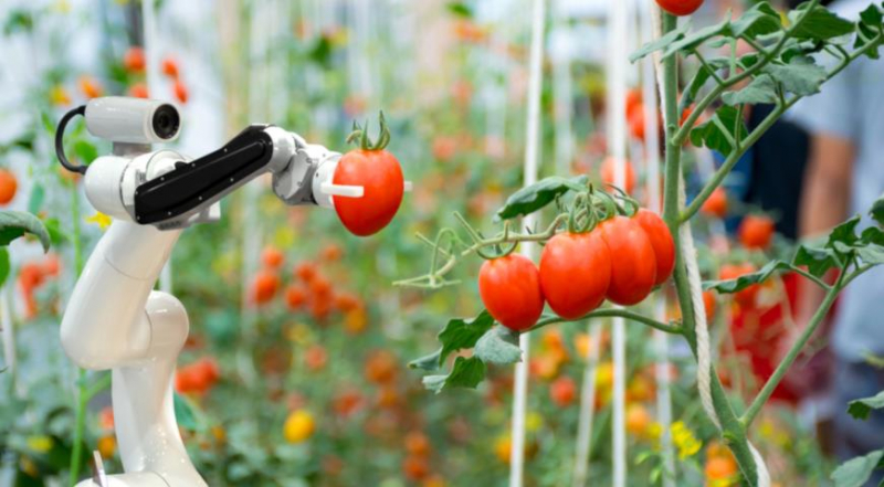 10 тенденций в садоводстве, которые будут заметны в 2024 году