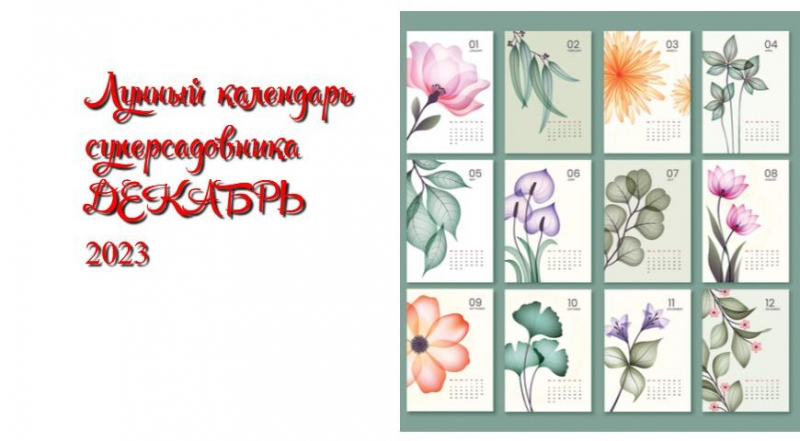 Лунный календарь садовода, огородника и цветовода на декабрь 2023 года
