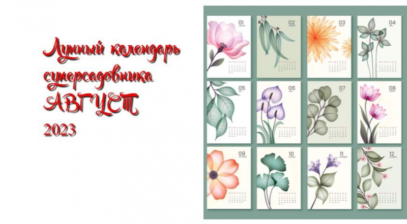 Лунный посевной календарь садовода, цветовода и огородника на август 2023 года