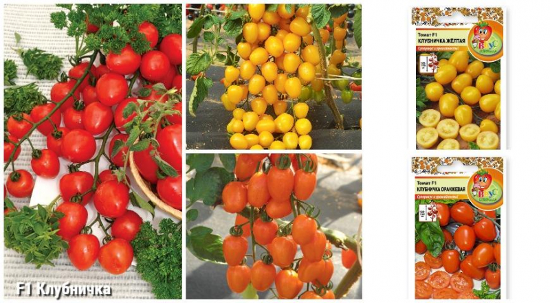 Самые сладкие томаты: актуальная подборка лучших сортов и гибридов помидоров